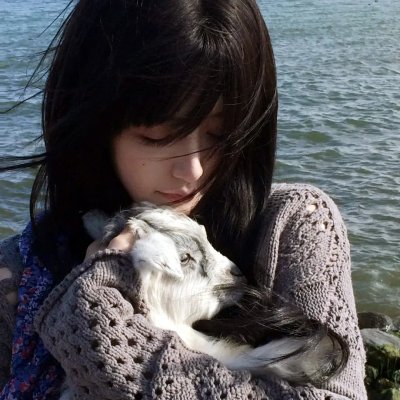 吸血鬼马上死第二季